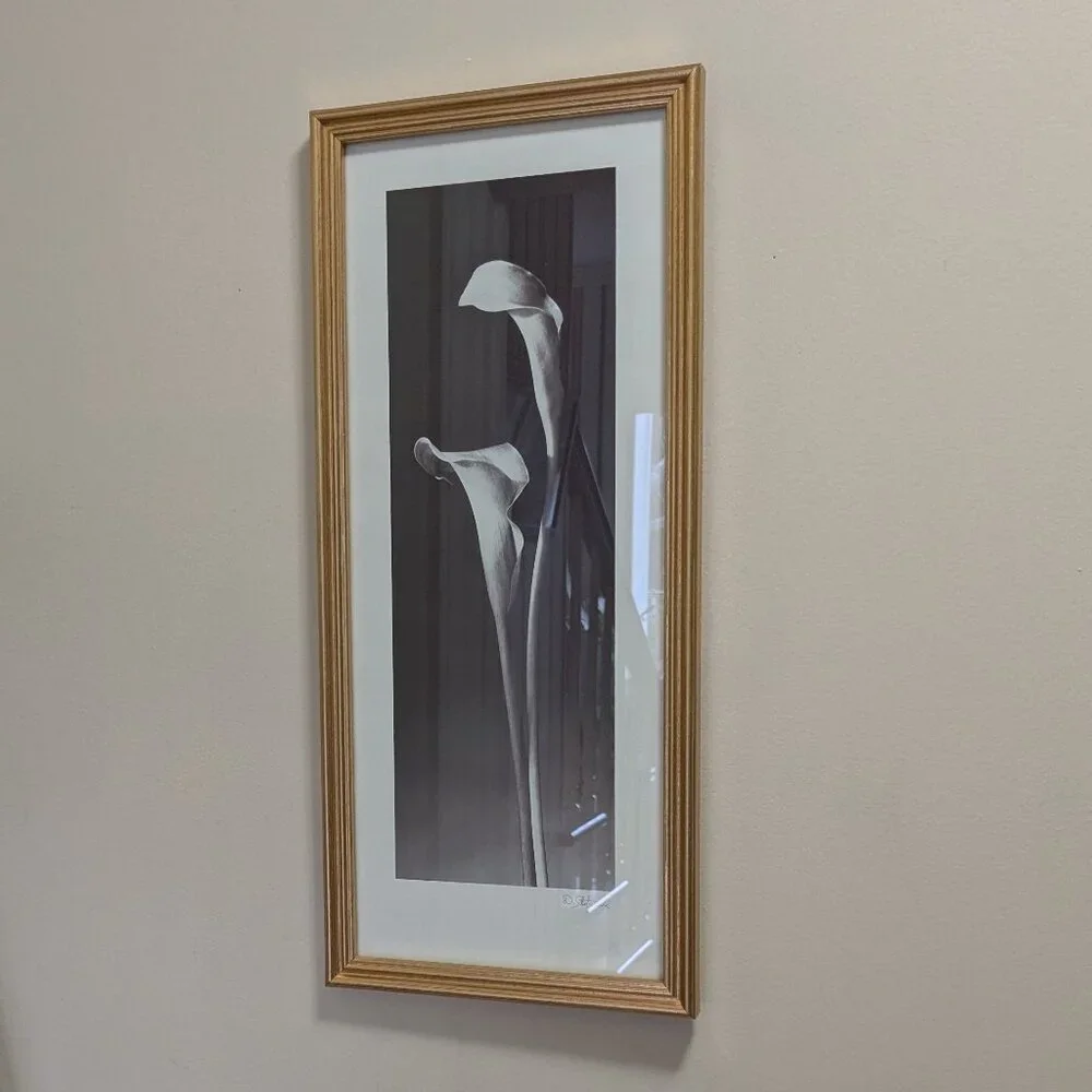 Dick & Diane Stefanich framed print "Calla Lilies" - Picture 3 of 6